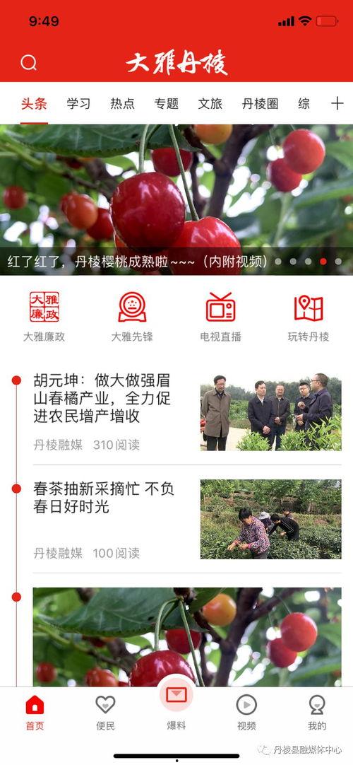 最热门爆料新闻报道,最新热门爆料新闻背后的惊人真相